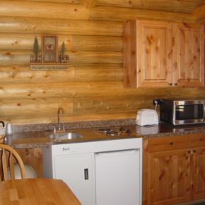 kitchen inside cabin.